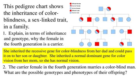Color Blind Pedigree Chart