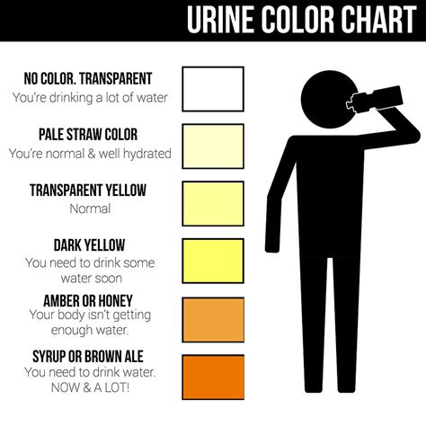 Color Of Urine Chart