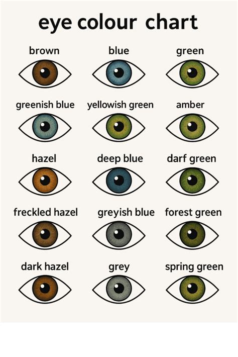 Colour Of Eyes Chart