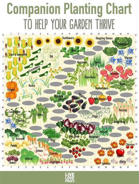 Companion Herb Planting Chart