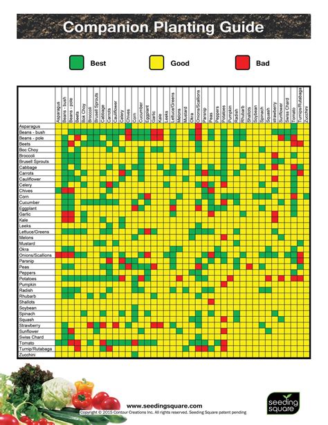Companion Planting Square Foot Gardening Chart
