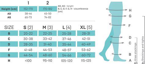 Compression Stockings Size Chart In Inches