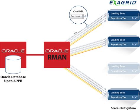 Configuring Rman Catalog In Oracle 11g