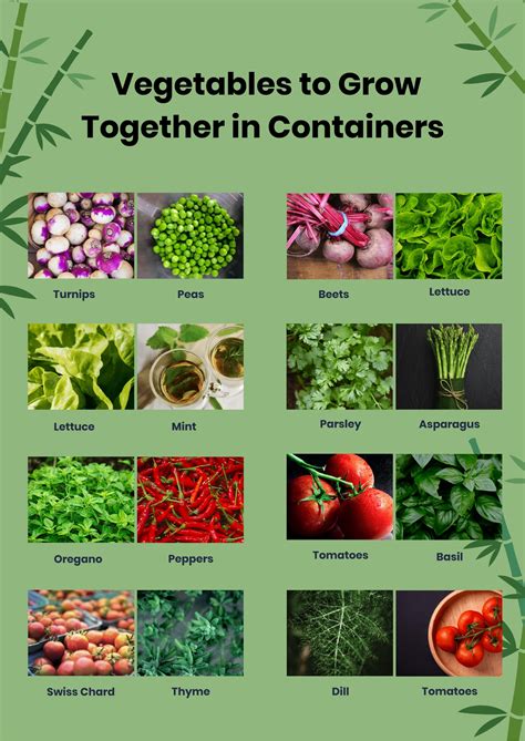 Container Companion Planting Chart