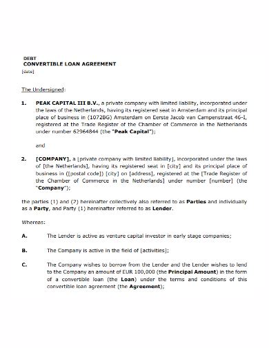 Convertible Debt Template