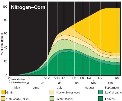 Corn Nitrogen Use Chart