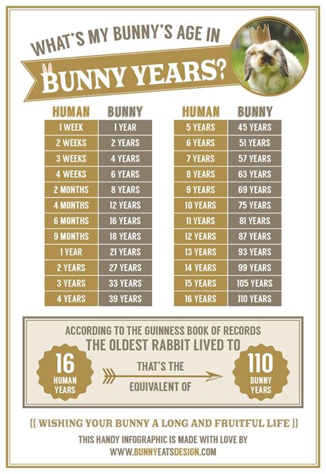 Cottontail Rabbit Age Chart