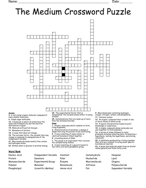 Crossword Puzzles Printable Medium