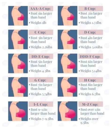 Cup Size Breast Chart