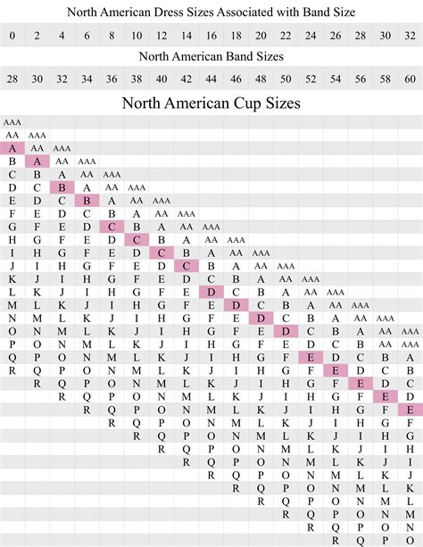 Cup Size Chart Us