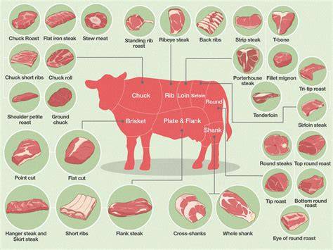Cuts Of Beef On A Cow Chart