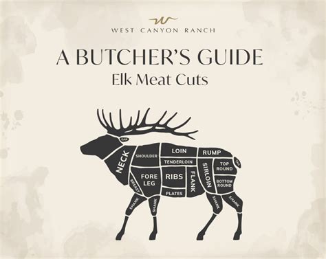 Cuts Of Elk Chart