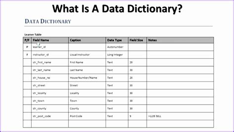 Data Dictionary Template