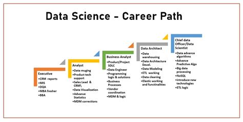Data Scientist Career Path