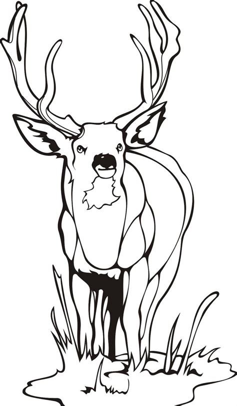 Deer Printable Coloring Pages