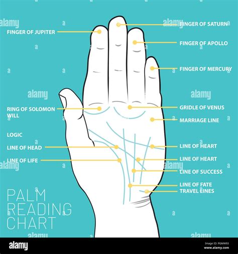 Detailed Palmistry Chart