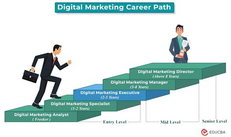 Digital Marketing Analyst Career