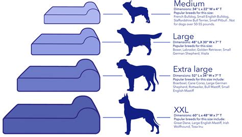 Dog Bed Sizes Chart