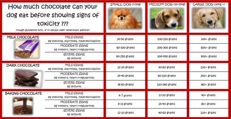 Dog Chocolate Toxicity Chart