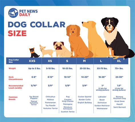 Dog Collar Size Chart By Breed