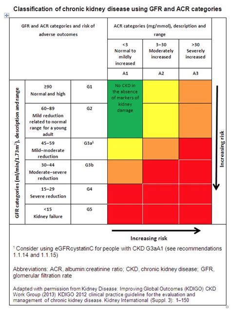 Dog Creatinine Level Chart