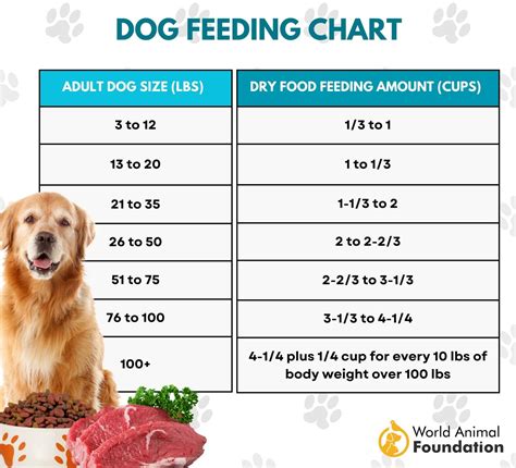Dog Feed Chart