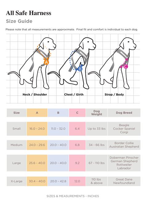 Dog Leash Size Chart