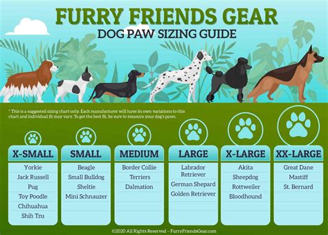 Dog Paw Size Chart