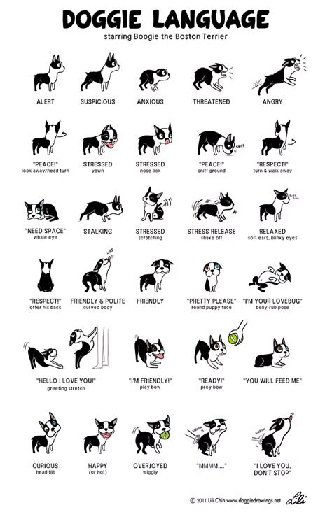 Dog Sign Language Chart