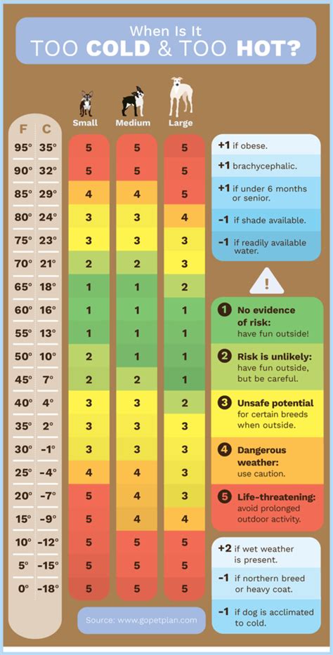 Dog Walking Temperature Chart
