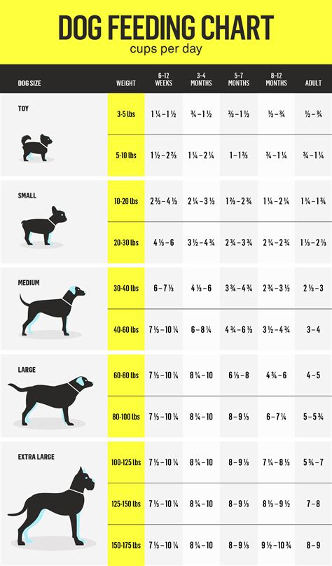 Dog Weight Food Chart