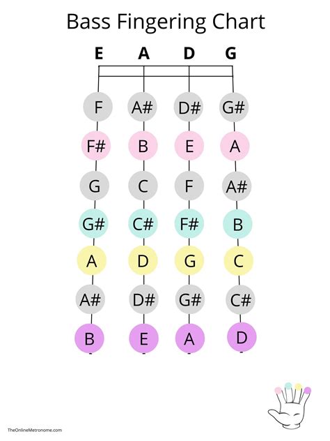 Double Bass Notes Chart
