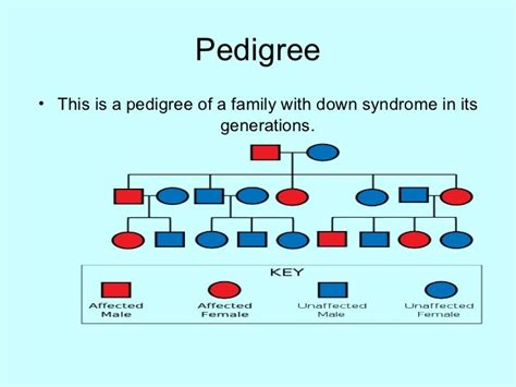 Down Syndrome Pedigree Chart