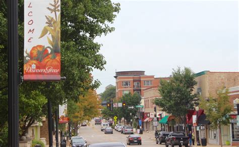 Downers Grove Il Mail Order Catalogs