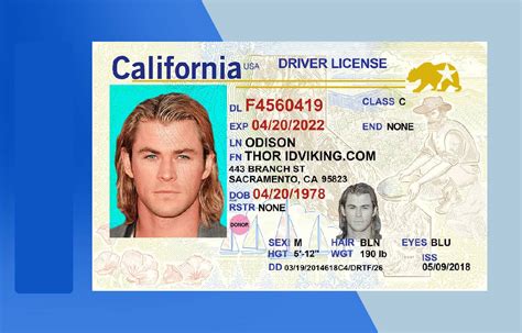 Drivers License Psd Template