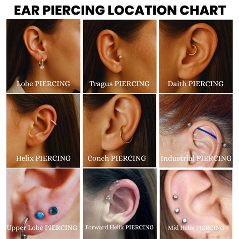 Ear Piercing Locations Chart