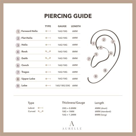 Ear Piercing Size Chart