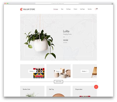 Ecommerce Wp Template