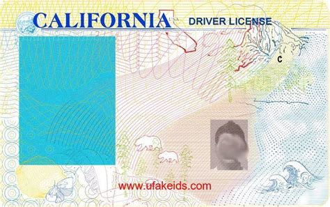 Editable Blank California Drivers License Template