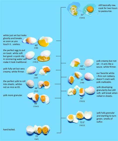 Egg Cooking Types Chart