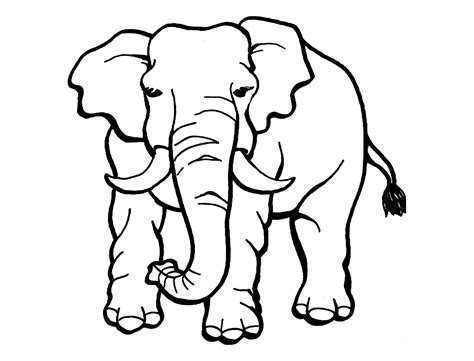 Elephant Printable Coloring Pages