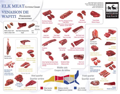 Elk Cuts Of Meat Chart