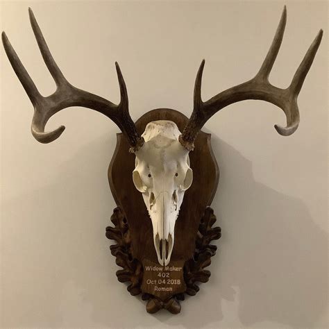 European Mount Plaque Template