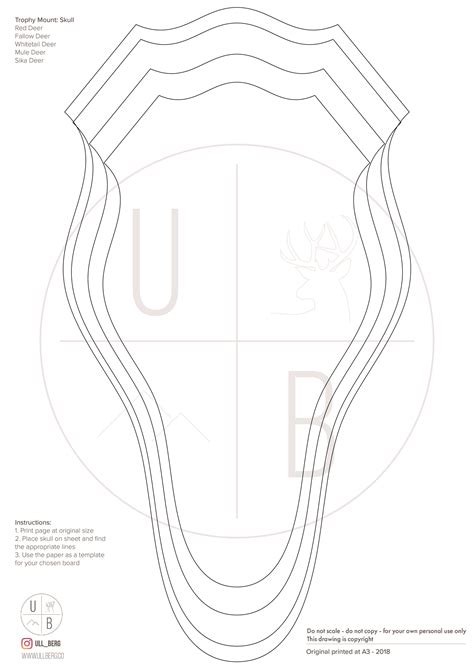 European Skull Mount Plaque Template