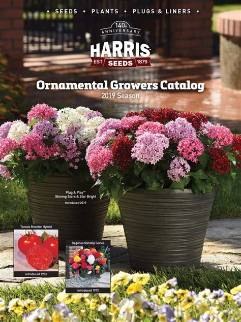 Fall Flower And Shrub Catalogs By Mail