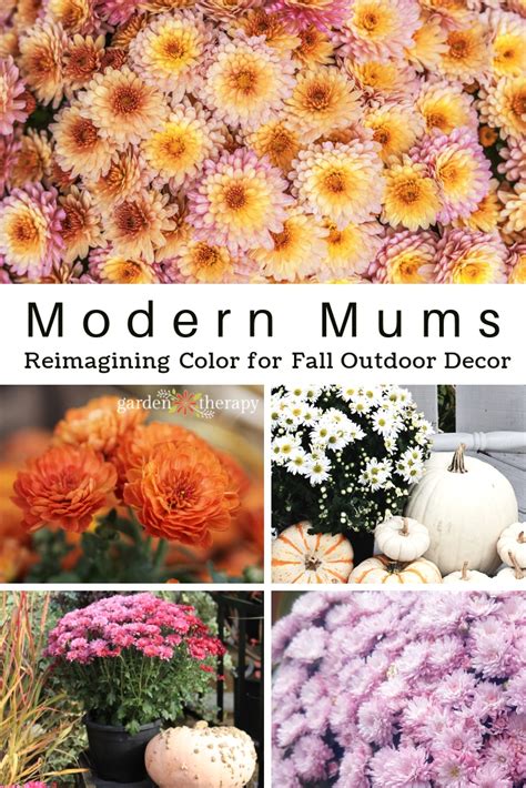 Fall Mum Color Chart