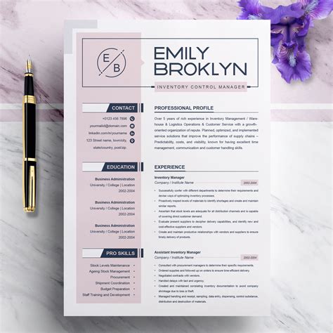 Fancy Resume Templates