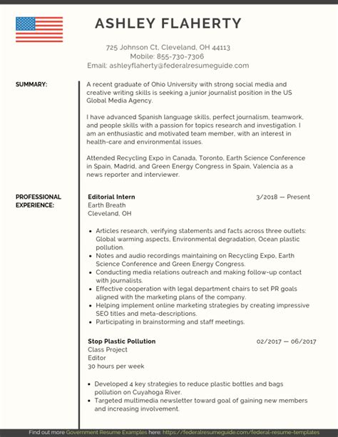 Federal Resume Template Format