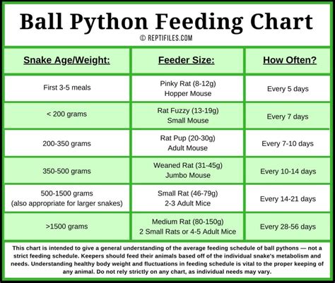 Feeding Size Chart For Ball Python