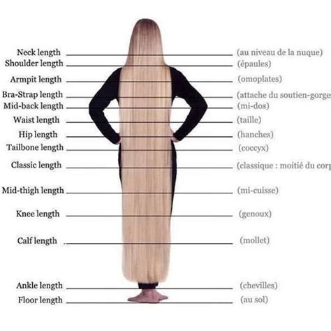 Female Hair Length Chart